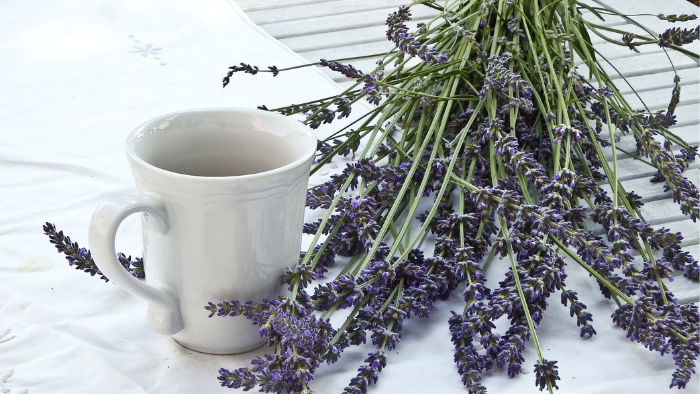 schlaf-schlafstörungen-kräutertherapie-lavendel